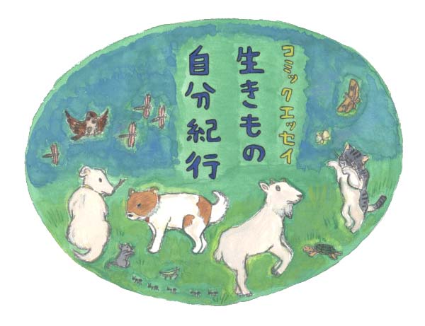 �������̎����I�s